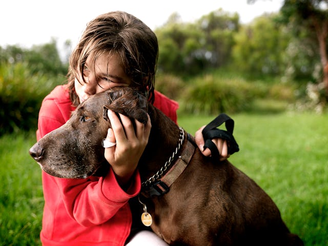 Research shows dogs' personalities, much like kids, change with age and big life events.