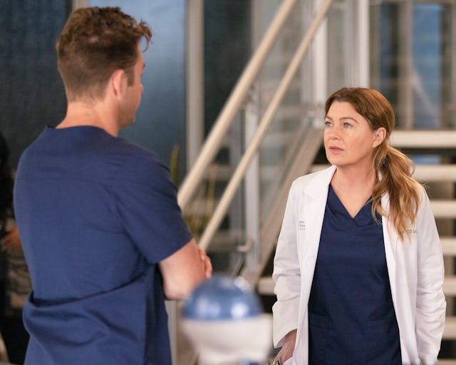 Scott Speedman and Ellen Pompeo are expected to reprise their roles in 'Grey's Anatomy' Season 19.