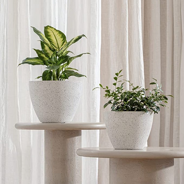 La Jolie Muse Flower Pots (2-Pack)