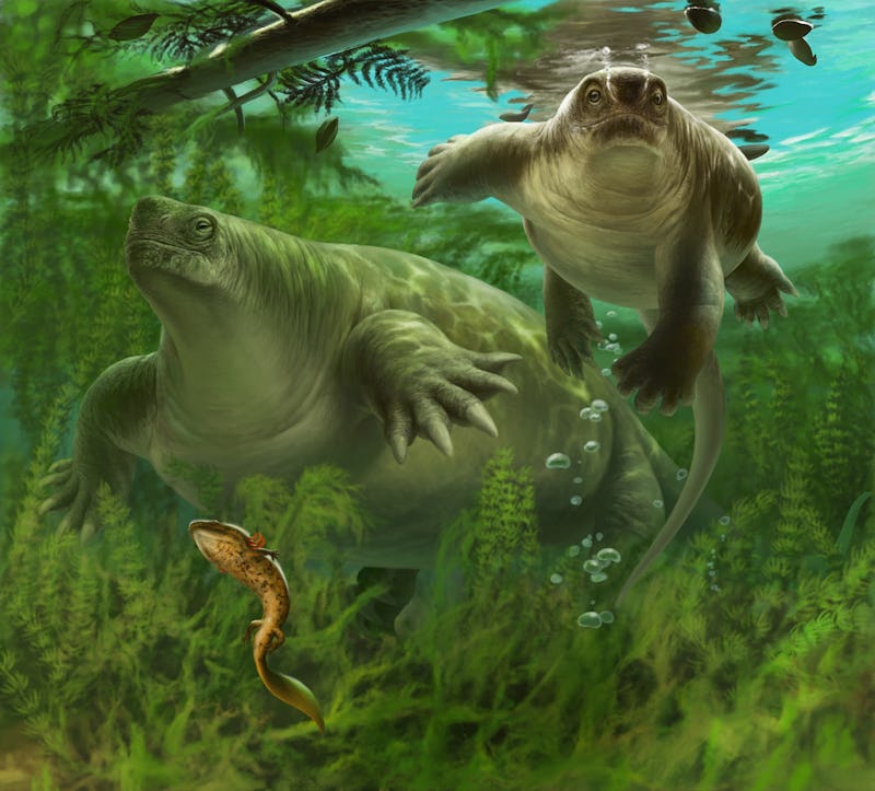 A chunky brown Lalieudorhynchus with a small head swims in the water (artist's impression)