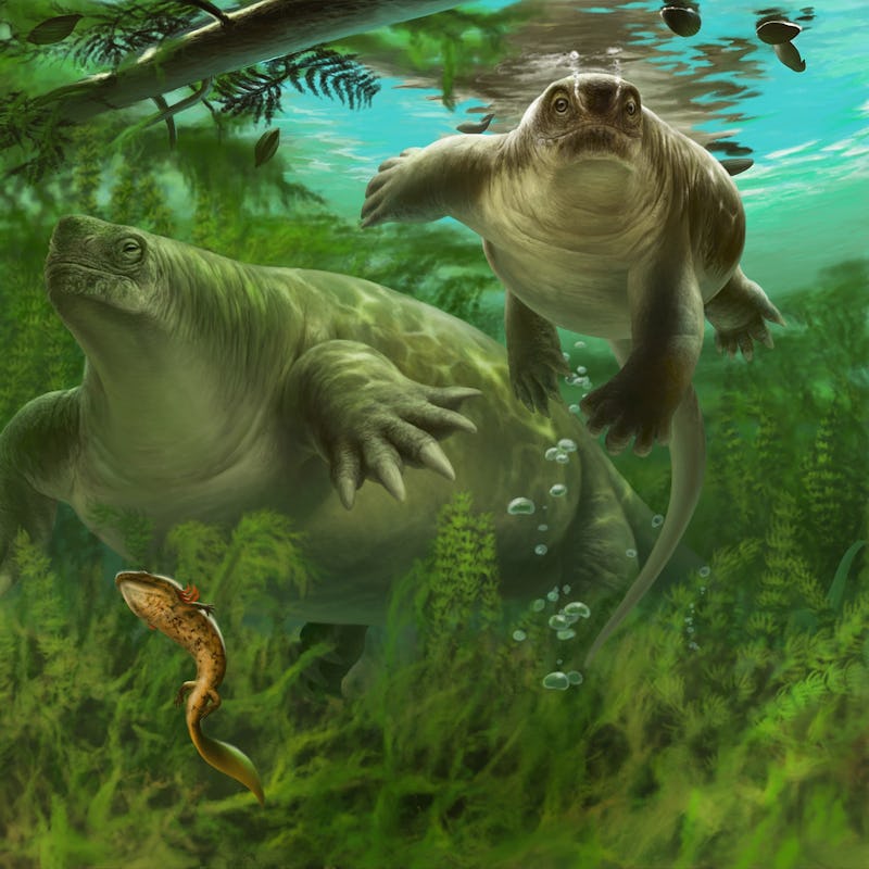 A chunky brown Lalieudorhynchus with a small head swims in the water (artist's impression)