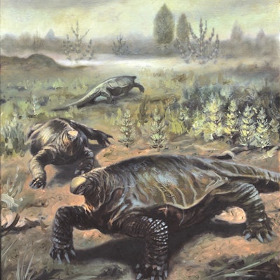  In vivo reconstruction of Alierasaurus ronchii by the Italian artist Emiliano Troco (oil on canvas)...