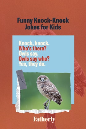 Owl knock knock jokes