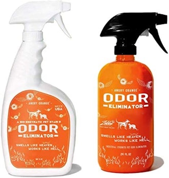 ANGRY ORANGE Pet Stain and Odor Remover Kit