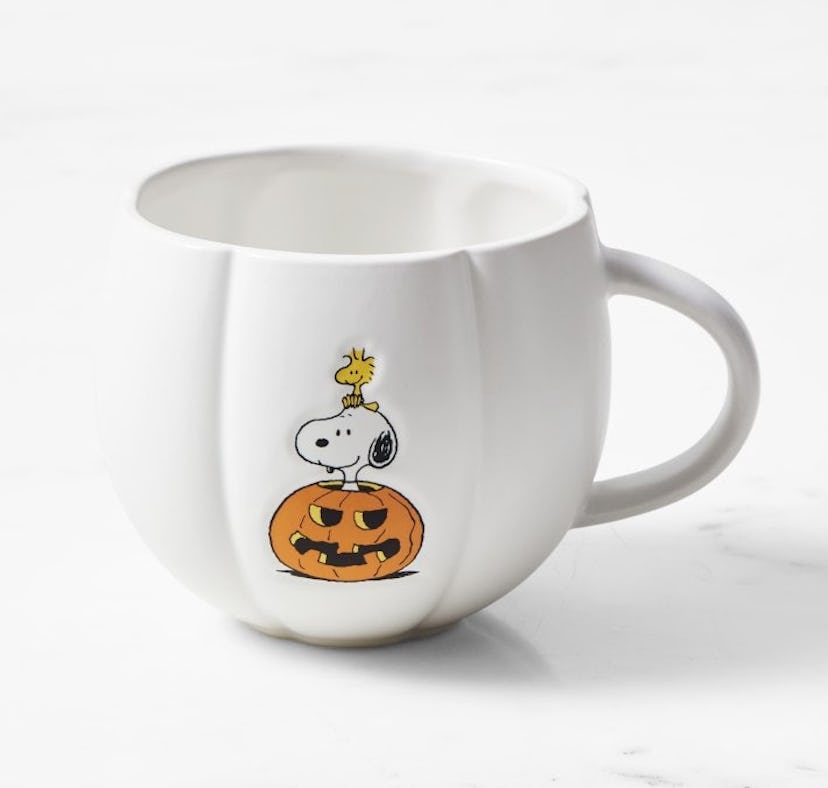 Peanuts Halloween collection 2022 items at Williams Sonoma under $30.