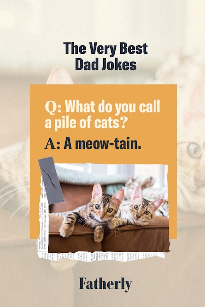 145 Of The Very Best Dad Jokes And Puns