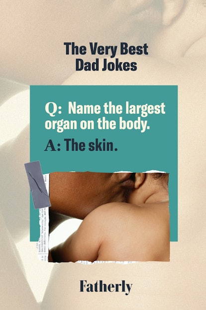 Name the largest organ of the body