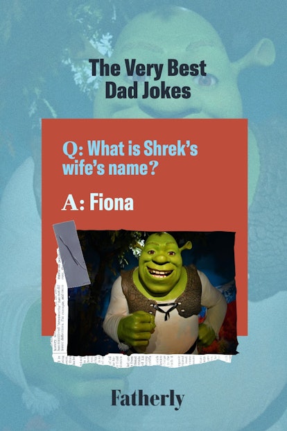 What Is Shrek's Wife's Name?