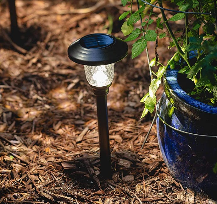 Signature Garden Solar Garden Light (8-Pack)