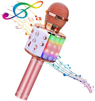 BlueFire 4-in-1 Karaoke Wireless Microphone 