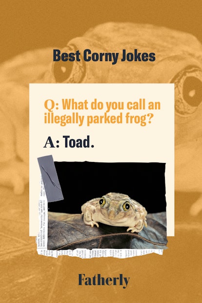 Corny jokes: What do you call an illegally parked frog?