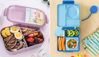  OmieBox Bento Box for Kids - Insulated with Leak Proof Thermos  Food Jar - 3 Compartments, Two Temperature Zones (Single) (Packaging May  Vary): Home & Kitchen