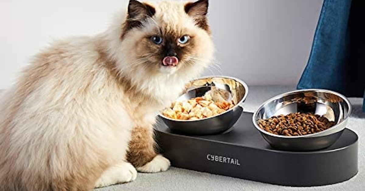The 5 Best Cat Bowls For Messy Eaters
