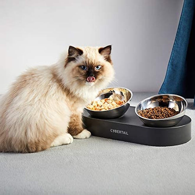 These cat bowls for messy eaters are tilt-adjustable and made from stainless steel.