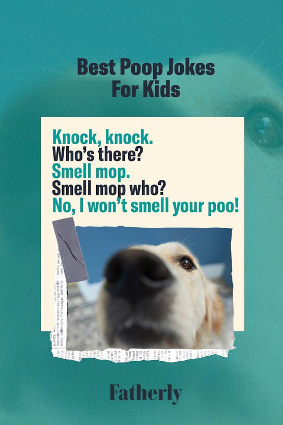 746362e0 1c5f 4fba 9c3e 4648a56ac9c7 poopjokes knockknockpoopjoke joke card with dog smelling camera picture, text reads "knock knock" "who's there" "smell mop" "smel...