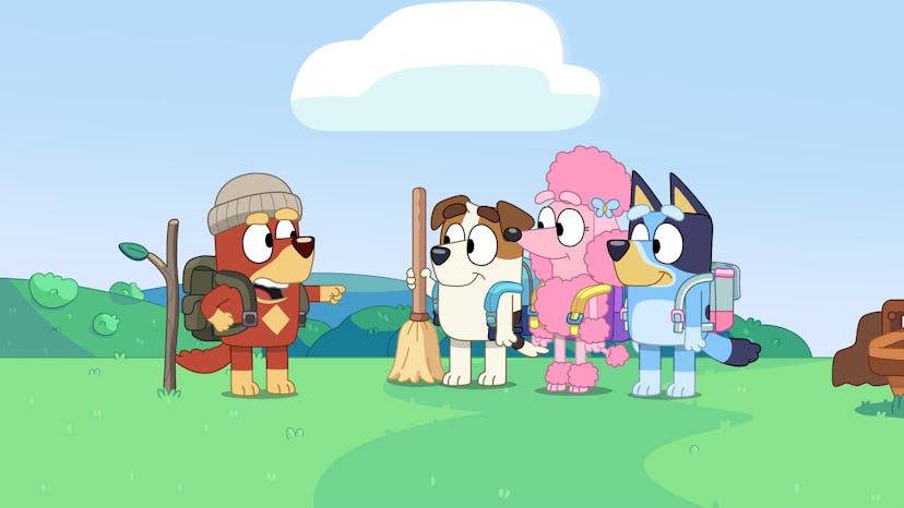 Catch up with the Heeler family in "Bluey" Season 3!