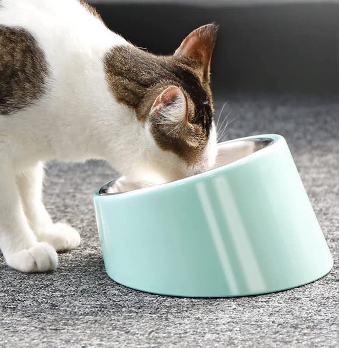Made from stainless steel, this cat bowl for messy eaters is slanted and comes in a variety of color…
