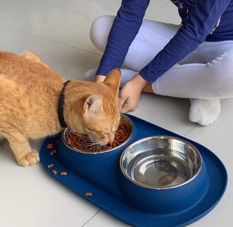 The 5 Best Cat Bowls For Messy Eaters