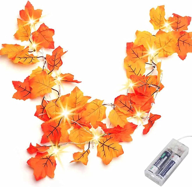 Luditek Lighted Fall Garland