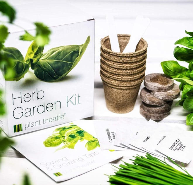 Plant Theatre Indoor Herb Garden Kit