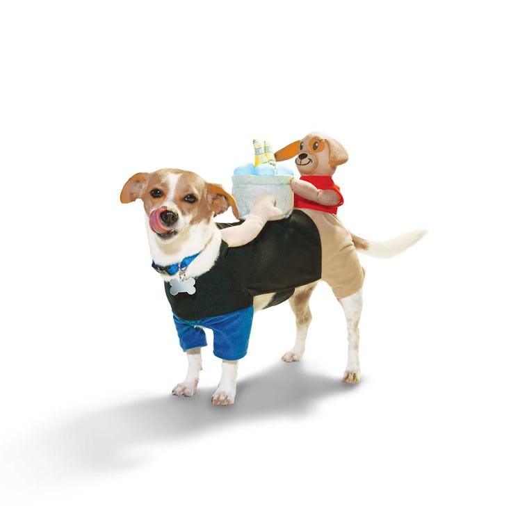 The Petco Halloween 2022 collection for dogs includes a beer run costume. 