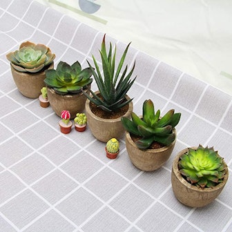 Coitak Potted Artificial Succulent Plants (5-Pack)
