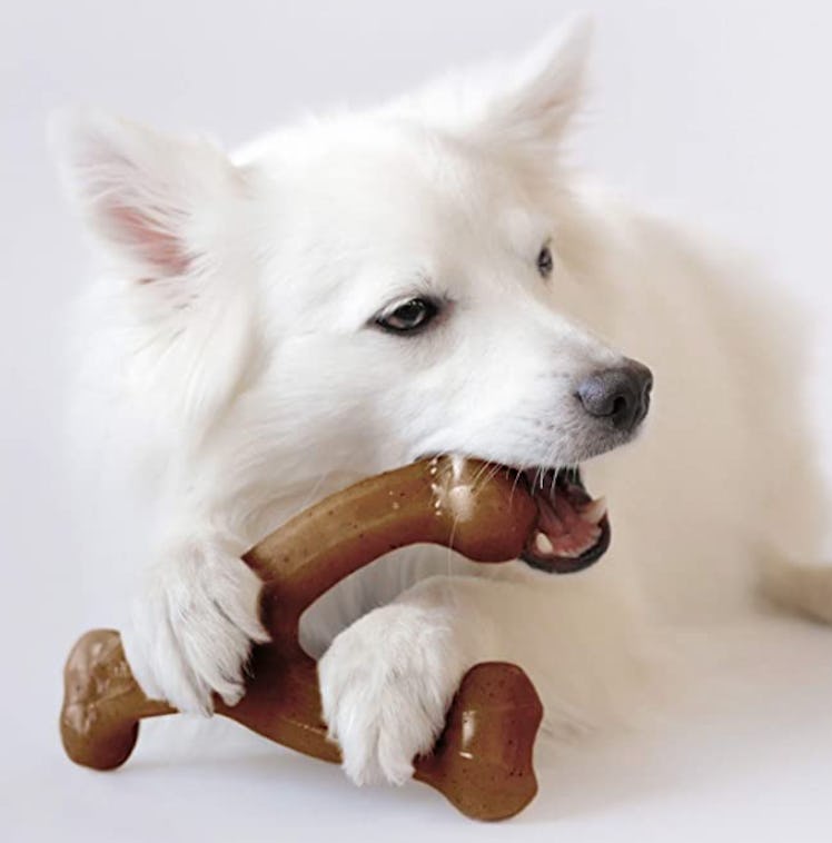 BENEBONE Flavored Chew Toy