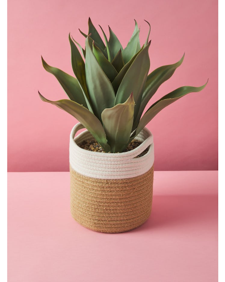 Faux plants are part of the fall 2022 home decor trends, according to experts. 