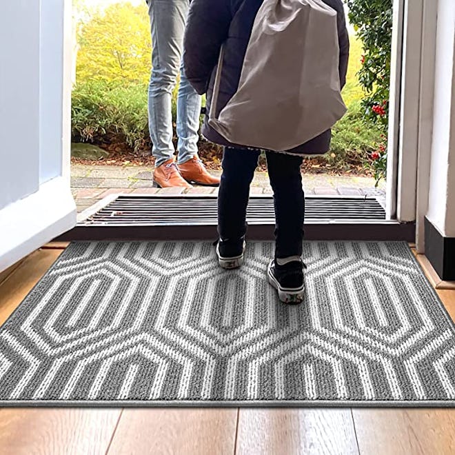 Dexi Indoor Door Mat