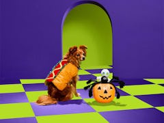 The Petco Halloween 2022 collection for dogs includes a hot dog costume. 