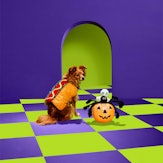 The Petco Halloween 2022 collection for dogs includes a hot dog costume. 