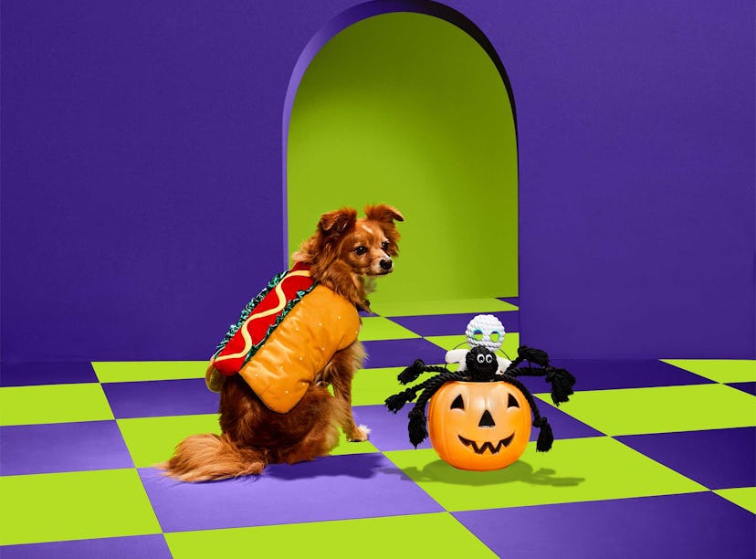 The Petco Halloween 2022 collection for dogs includes a hot dog costume. 