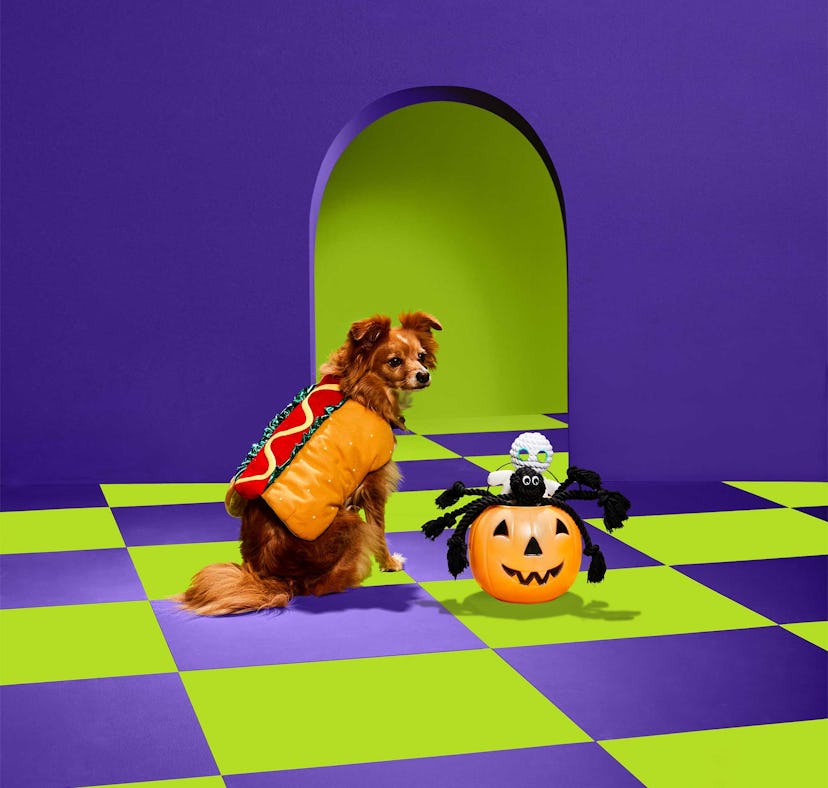 The Petco Halloween 2022 collection for dogs includes a hot dog costume.