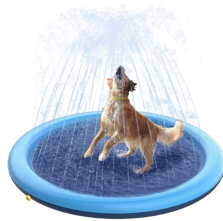 Peteast Splash Pad For Dogs