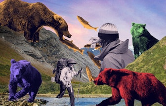 An abstract collage of a man taking a photo, bears and a fish in a mountain