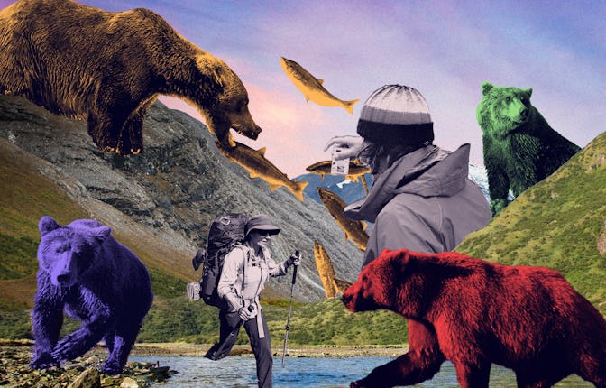 An abstract collage of a man taking a photo, bears and a fish in a mountain