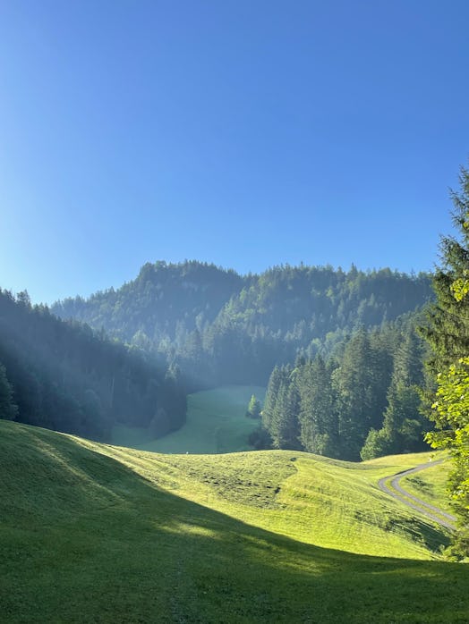 bezau austria