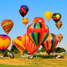 Various hot air balloons rise into the sky during the Great Reno Hot Air Balloon Race