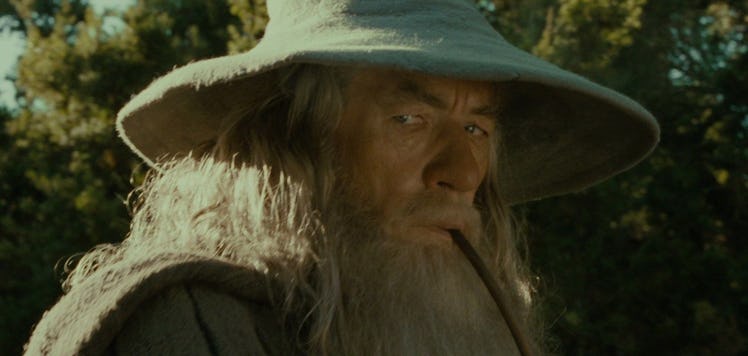 Ian McKellen as Gandalf the Grey in 2001’s The Lord of the Rings: The Fellowship of the Ring