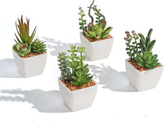 SPEPLA Fake Succulents 
