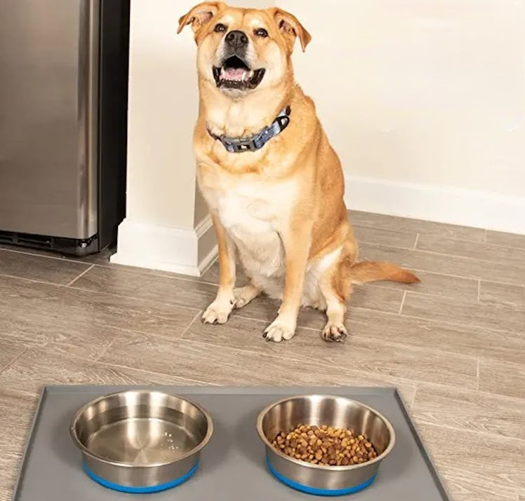 Leash Boss Non-Slip Stainless Steel Dog Bowl (2-Pack)