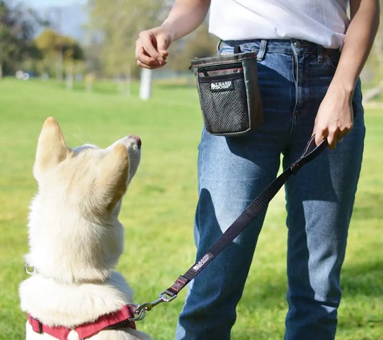 Leash Boss Dog Treat Pouch