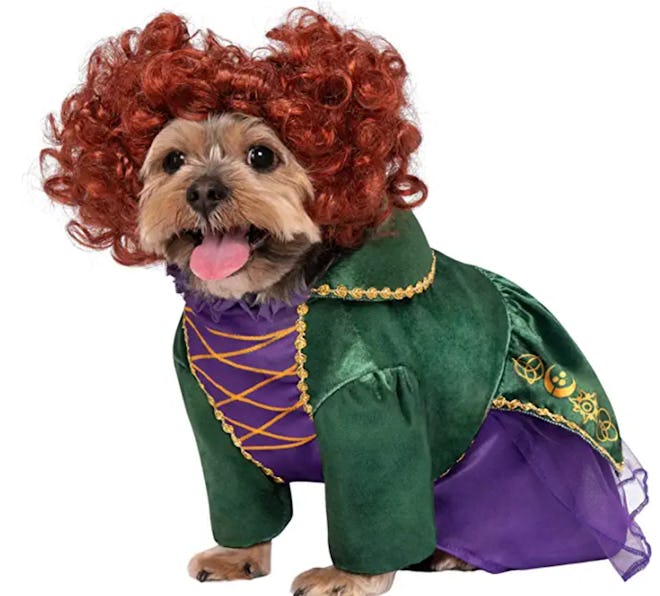 Rubie's Winifred Dog Costume