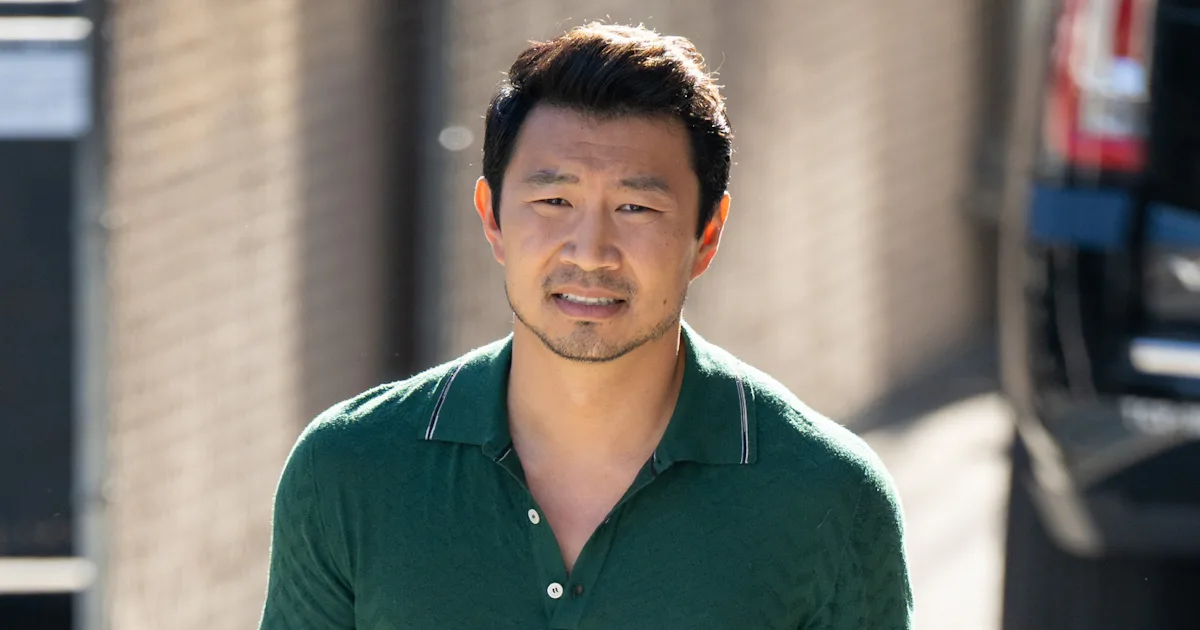Simu Imega Simu Liu’s Long Sleeve Knit Polo Is The Shirt For The Season