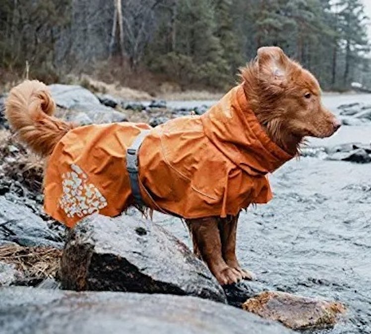 This durable dog raincoat is made of premium waterproof polyester with a soft mesh lining. 