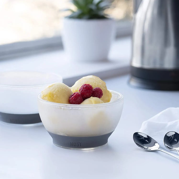 Host Ice Cream Freeze Bowl