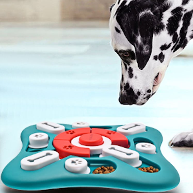 PETSTA Dog Puzzle