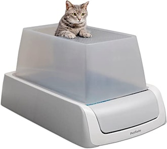 This is one of the best dog-proof litter boxes because it's also self-cleaning.