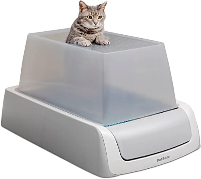 This is one of the best dog-proof litter boxes because it’s also self-cleaning.