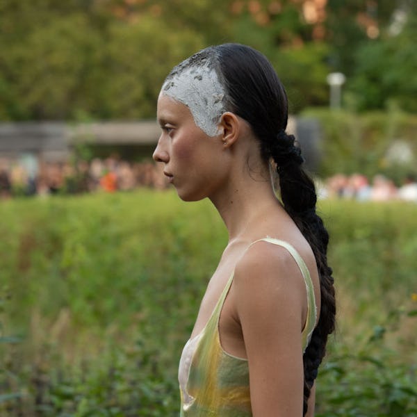 model with a braid